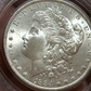 1884-O Morgan Silver Dollar PCGS MS65 RATTLER