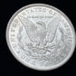 Mega Morgan Silver Dollar Roll — 20 Morgan Dollars with 1 Carson City Morgan