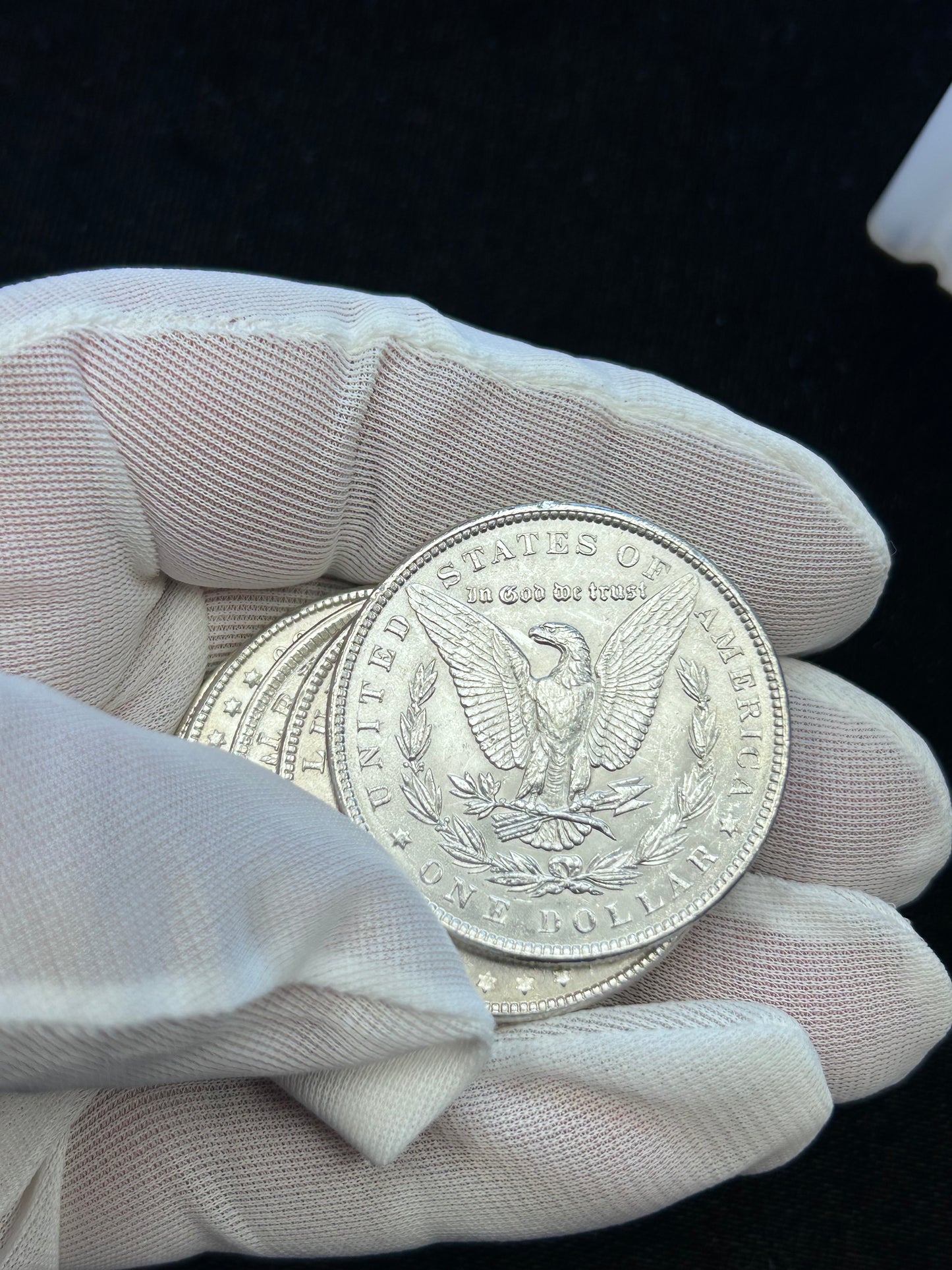Mega Morgan Silver Dollar Roll — 20 Morgan Dollars with 1 Carson City Morgan